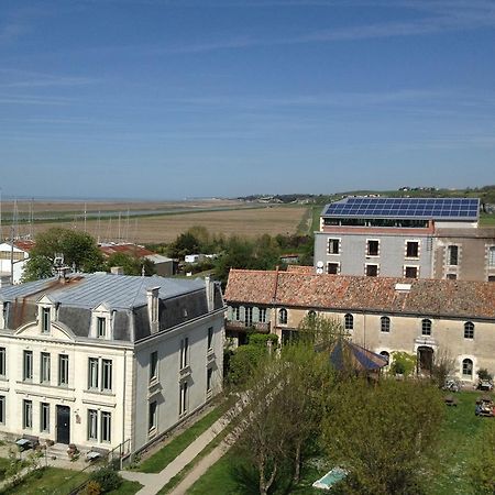 ホテル Le Domaine Du Meunier Mortagne-sur-Gironde エクステリア 写真