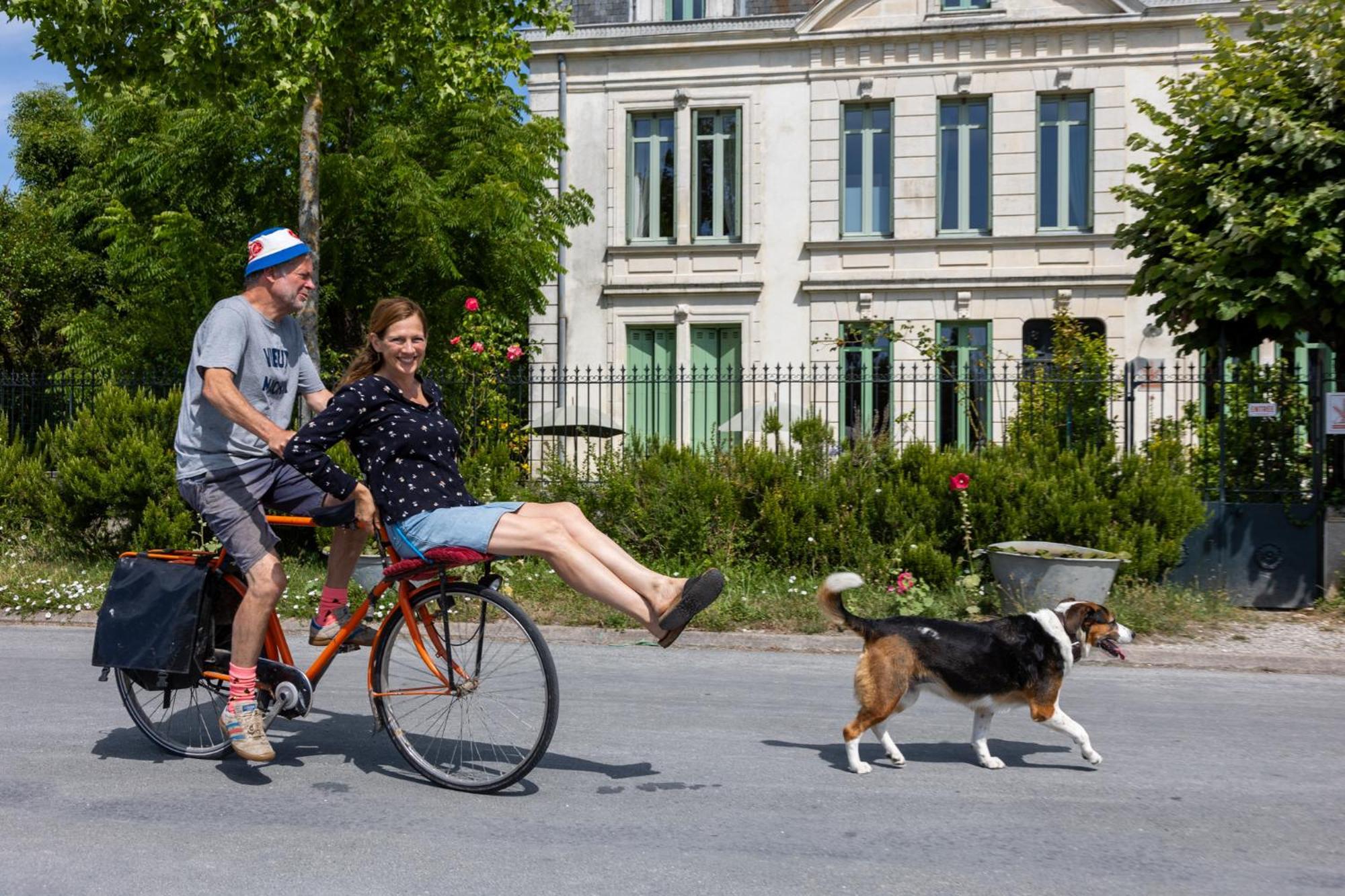 ホテル Le Domaine Du Meunier Mortagne-sur-Gironde エクステリア 写真